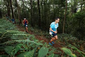 BIB: 
                            <button type="button" onclick="openModal(22536184)" class="btn btn-primary btn-sm float-right btn-popup" data-toggle="modal" data-target=".modal-high-quality">
                        <i class="fas fa-shopping-cart"></i> Add to Cart
                    </button>
                                            <button type="button" onclick="isThisMe(22536184, true)" class="btn btn-success btn-sm float-right btn-popup btn-isme hidden" data-toggle="tooltip" data-placement="bottom" title="นี่คือรูปของคุณใช่ไหม คลิกที่นี่เพื่อเอาเข้าอัลบั้ม">
                        <i class="fas fa-plus"></i> Add to album
                    </button>
                    <button type="button" onclick="isThisMe(22536184, false)" class="btn btn-warning btn-sm float-right btn-popup btn-isnotme hidden">
                        <i class="fas fa-ban"></i> Remove from album
                    </button>