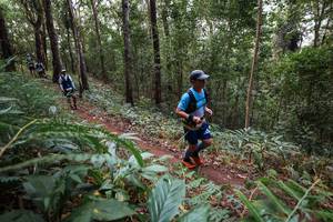 BIB: 
                            <button type="button" onclick="openModal(22567495)" class="btn btn-primary btn-sm float-right btn-popup" data-toggle="modal" data-target=".modal-high-quality">
                        <i class="fas fa-shopping-cart"></i> Add to Cart
                    </button>
                                            <button type="button" onclick="isThisMe(22567495, true)" class="btn btn-success btn-sm float-right btn-popup btn-isme hidden" data-toggle="tooltip" data-placement="bottom" title="นี่คือรูปของคุณใช่ไหม คลิกที่นี่เพื่อเอาเข้าอัลบั้ม">
                        <i class="fas fa-plus"></i> Add to album
                    </button>
                    <button type="button" onclick="isThisMe(22567495, false)" class="btn btn-warning btn-sm float-right btn-popup btn-isnotme hidden">
                        <i class="fas fa-ban"></i> Remove from album
                    </button>