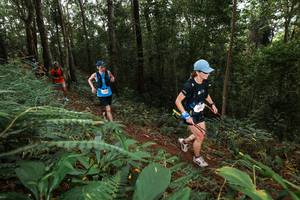 BIB: 
                            <button type="button" onclick="openModal(22536260)" class="btn btn-primary btn-sm float-right btn-popup" data-toggle="modal" data-target=".modal-high-quality">
                        <i class="fas fa-shopping-cart"></i> Add to Cart
                    </button>
                                            <button type="button" onclick="isThisMe(22536260, true)" class="btn btn-success btn-sm float-right btn-popup btn-isme hidden" data-toggle="tooltip" data-placement="bottom" title="นี่คือรูปของคุณใช่ไหม คลิกที่นี่เพื่อเอาเข้าอัลบั้ม">
                        <i class="fas fa-plus"></i> Add to album
                    </button>
                    <button type="button" onclick="isThisMe(22536260, false)" class="btn btn-warning btn-sm float-right btn-popup btn-isnotme hidden">
                        <i class="fas fa-ban"></i> Remove from album
                    </button>