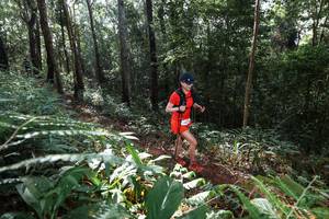 BIB: 
                            <button type="button" onclick="openModal(22543868)" class="btn btn-primary btn-sm float-right btn-popup" data-toggle="modal" data-target=".modal-high-quality">
                        <i class="fas fa-shopping-cart"></i> Add to Cart
                    </button>
                                            <button type="button" onclick="isThisMe(22543868, true)" class="btn btn-success btn-sm float-right btn-popup btn-isme hidden" data-toggle="tooltip" data-placement="bottom" title="นี่คือรูปของคุณใช่ไหม คลิกที่นี่เพื่อเอาเข้าอัลบั้ม">
                        <i class="fas fa-plus"></i> Add to album
                    </button>
                    <button type="button" onclick="isThisMe(22543868, false)" class="btn btn-warning btn-sm float-right btn-popup btn-isnotme hidden">
                        <i class="fas fa-ban"></i> Remove from album
                    </button>