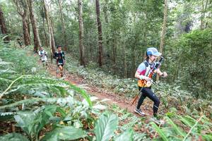 BIB: 
                            <button type="button" onclick="openModal(22581692)" class="btn btn-primary btn-sm float-right btn-popup" data-toggle="modal" data-target=".modal-high-quality">
                        <i class="fas fa-shopping-cart"></i> Add to Cart
                    </button>
                                            <button type="button" onclick="isThisMe(22581692, true)" class="btn btn-success btn-sm float-right btn-popup btn-isme hidden" data-toggle="tooltip" data-placement="bottom" title="นี่คือรูปของคุณใช่ไหม คลิกที่นี่เพื่อเอาเข้าอัลบั้ม">
                        <i class="fas fa-plus"></i> Add to album
                    </button>
                    <button type="button" onclick="isThisMe(22581692, false)" class="btn btn-warning btn-sm float-right btn-popup btn-isnotme hidden">
                        <i class="fas fa-ban"></i> Remove from album
                    </button>