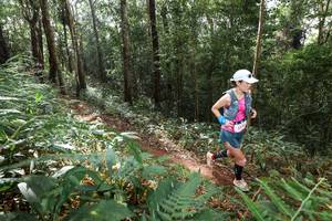 BIB: 
                            <button type="button" onclick="openModal(22545567)" class="btn btn-primary btn-sm float-right btn-popup" data-toggle="modal" data-target=".modal-high-quality">
                        <i class="fas fa-shopping-cart"></i> Add to Cart
                    </button>
                                            <button type="button" onclick="isThisMe(22545567, true)" class="btn btn-success btn-sm float-right btn-popup btn-isme hidden" data-toggle="tooltip" data-placement="bottom" title="นี่คือรูปของคุณใช่ไหม คลิกที่นี่เพื่อเอาเข้าอัลบั้ม">
                        <i class="fas fa-plus"></i> Add to album
                    </button>
                    <button type="button" onclick="isThisMe(22545567, false)" class="btn btn-warning btn-sm float-right btn-popup btn-isnotme hidden">
                        <i class="fas fa-ban"></i> Remove from album
                    </button>