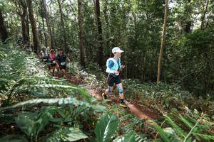 BIB: 
                            <button type="button" onclick="openModal(22547393)" class="btn btn-primary btn-sm float-right btn-popup" data-toggle="modal" data-target=".modal-high-quality">
                        <i class="fas fa-shopping-cart"></i> Add to Cart
                    </button>
                                            <button type="button" onclick="isThisMe(22547393, true)" class="btn btn-success btn-sm float-right btn-popup btn-isme hidden" data-toggle="tooltip" data-placement="bottom" title="นี่คือรูปของคุณใช่ไหม คลิกที่นี่เพื่อเอาเข้าอัลบั้ม">
                        <i class="fas fa-plus"></i> Add to album
                    </button>
                    <button type="button" onclick="isThisMe(22547393, false)" class="btn btn-warning btn-sm float-right btn-popup btn-isnotme hidden">
                        <i class="fas fa-ban"></i> Remove from album
                    </button>