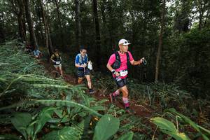 BIB: 
                            <button type="button" onclick="openModal(22538040)" class="btn btn-primary btn-sm float-right btn-popup" data-toggle="modal" data-target=".modal-high-quality">
                        <i class="fas fa-shopping-cart"></i> Add to Cart
                    </button>
                                            <button type="button" onclick="isThisMe(22538040, true)" class="btn btn-success btn-sm float-right btn-popup btn-isme hidden" data-toggle="tooltip" data-placement="bottom" title="นี่คือรูปของคุณใช่ไหม คลิกที่นี่เพื่อเอาเข้าอัลบั้ม">
                        <i class="fas fa-plus"></i> Add to album
                    </button>
                    <button type="button" onclick="isThisMe(22538040, false)" class="btn btn-warning btn-sm float-right btn-popup btn-isnotme hidden">
                        <i class="fas fa-ban"></i> Remove from album
                    </button>