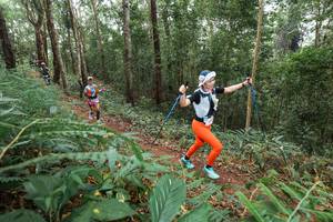 BIB: 
                            <button type="button" onclick="openModal(22579702)" class="btn btn-primary btn-sm float-right btn-popup" data-toggle="modal" data-target=".modal-high-quality">
                        <i class="fas fa-shopping-cart"></i> Add to Cart
                    </button>
                                            <button type="button" onclick="isThisMe(22579702, true)" class="btn btn-success btn-sm float-right btn-popup btn-isme hidden" data-toggle="tooltip" data-placement="bottom" title="นี่คือรูปของคุณใช่ไหม คลิกที่นี่เพื่อเอาเข้าอัลบั้ม">
                        <i class="fas fa-plus"></i> Add to album
                    </button>
                    <button type="button" onclick="isThisMe(22579702, false)" class="btn btn-warning btn-sm float-right btn-popup btn-isnotme hidden">
                        <i class="fas fa-ban"></i> Remove from album
                    </button>