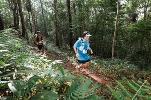 BIB: 
                            <button type="button" onclick="openModal(22545277)" class="btn btn-primary btn-sm float-right btn-popup" data-toggle="modal" data-target=".modal-high-quality">
                        <i class="fas fa-shopping-cart"></i> Add to Cart
                    </button>
                                            <button type="button" onclick="isThisMe(22545277, true)" class="btn btn-success btn-sm float-right btn-popup btn-isme hidden" data-toggle="tooltip" data-placement="bottom" title="นี่คือรูปของคุณใช่ไหม คลิกที่นี่เพื่อเอาเข้าอัลบั้ม">
                        <i class="fas fa-plus"></i> Add to album
                    </button>
                    <button type="button" onclick="isThisMe(22545277, false)" class="btn btn-warning btn-sm float-right btn-popup btn-isnotme hidden">
                        <i class="fas fa-ban"></i> Remove from album
                    </button>