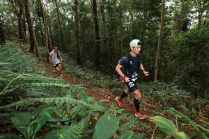 BIB: 
                            <button type="button" onclick="openModal(22534231)" class="btn btn-primary btn-sm float-right btn-popup" data-toggle="modal" data-target=".modal-high-quality">
                        <i class="fas fa-shopping-cart"></i> Add to Cart
                    </button>
                                            <button type="button" onclick="isThisMe(22534231, true)" class="btn btn-success btn-sm float-right btn-popup btn-isme hidden" data-toggle="tooltip" data-placement="bottom" title="นี่คือรูปของคุณใช่ไหม คลิกที่นี่เพื่อเอาเข้าอัลบั้ม">
                        <i class="fas fa-plus"></i> Add to album
                    </button>
                    <button type="button" onclick="isThisMe(22534231, false)" class="btn btn-warning btn-sm float-right btn-popup btn-isnotme hidden">
                        <i class="fas fa-ban"></i> Remove from album
                    </button>