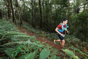 BIB: 
                            <button type="button" onclick="openModal(22535352)" class="btn btn-primary btn-sm float-right btn-popup" data-toggle="modal" data-target=".modal-high-quality">
                        <i class="fas fa-shopping-cart"></i> Add to Cart
                    </button>
                                            <button type="button" onclick="isThisMe(22535352, true)" class="btn btn-success btn-sm float-right btn-popup btn-isme hidden" data-toggle="tooltip" data-placement="bottom" title="นี่คือรูปของคุณใช่ไหม คลิกที่นี่เพื่อเอาเข้าอัลบั้ม">
                        <i class="fas fa-plus"></i> Add to album
                    </button>
                    <button type="button" onclick="isThisMe(22535352, false)" class="btn btn-warning btn-sm float-right btn-popup btn-isnotme hidden">
                        <i class="fas fa-ban"></i> Remove from album
                    </button>