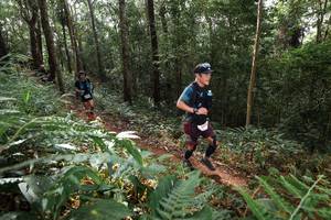 BIB: 
                            <button type="button" onclick="openModal(22544644)" class="btn btn-primary btn-sm float-right btn-popup" data-toggle="modal" data-target=".modal-high-quality">
                        <i class="fas fa-shopping-cart"></i> Add to Cart
                    </button>
                                            <button type="button" onclick="isThisMe(22544644, true)" class="btn btn-success btn-sm float-right btn-popup btn-isme hidden" data-toggle="tooltip" data-placement="bottom" title="นี่คือรูปของคุณใช่ไหม คลิกที่นี่เพื่อเอาเข้าอัลบั้ม">
                        <i class="fas fa-plus"></i> Add to album
                    </button>
                    <button type="button" onclick="isThisMe(22544644, false)" class="btn btn-warning btn-sm float-right btn-popup btn-isnotme hidden">
                        <i class="fas fa-ban"></i> Remove from album
                    </button>