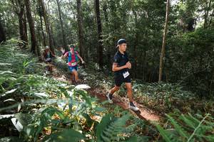 BIB: 
                            <button type="button" onclick="openModal(22544758)" class="btn btn-primary btn-sm float-right btn-popup" data-toggle="modal" data-target=".modal-high-quality">
                        <i class="fas fa-shopping-cart"></i> Add to Cart
                    </button>
                                            <button type="button" onclick="isThisMe(22544758, true)" class="btn btn-success btn-sm float-right btn-popup btn-isme hidden" data-toggle="tooltip" data-placement="bottom" title="นี่คือรูปของคุณใช่ไหม คลิกที่นี่เพื่อเอาเข้าอัลบั้ม">
                        <i class="fas fa-plus"></i> Add to album
                    </button>
                    <button type="button" onclick="isThisMe(22544758, false)" class="btn btn-warning btn-sm float-right btn-popup btn-isnotme hidden">
                        <i class="fas fa-ban"></i> Remove from album
                    </button>