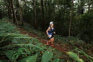 BIB: 
                            <button type="button" onclick="openModal(22533323)" class="btn btn-primary btn-sm float-right btn-popup" data-toggle="modal" data-target=".modal-high-quality">
                        <i class="fas fa-shopping-cart"></i> Add to Cart
                    </button>
                                            <button type="button" onclick="isThisMe(22533323, true)" class="btn btn-success btn-sm float-right btn-popup btn-isme hidden" data-toggle="tooltip" data-placement="bottom" title="นี่คือรูปของคุณใช่ไหม คลิกที่นี่เพื่อเอาเข้าอัลบั้ม">
                        <i class="fas fa-plus"></i> Add to album
                    </button>
                    <button type="button" onclick="isThisMe(22533323, false)" class="btn btn-warning btn-sm float-right btn-popup btn-isnotme hidden">
                        <i class="fas fa-ban"></i> Remove from album
                    </button>