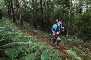 BIB: 
                            <button type="button" onclick="openModal(22542278)" class="btn btn-primary btn-sm float-right btn-popup" data-toggle="modal" data-target=".modal-high-quality">
                        <i class="fas fa-shopping-cart"></i> Add to Cart
                    </button>
                                            <button type="button" onclick="isThisMe(22542278, true)" class="btn btn-success btn-sm float-right btn-popup btn-isme hidden" data-toggle="tooltip" data-placement="bottom" title="นี่คือรูปของคุณใช่ไหม คลิกที่นี่เพื่อเอาเข้าอัลบั้ม">
                        <i class="fas fa-plus"></i> Add to album
                    </button>
                    <button type="button" onclick="isThisMe(22542278, false)" class="btn btn-warning btn-sm float-right btn-popup btn-isnotme hidden">
                        <i class="fas fa-ban"></i> Remove from album
                    </button>