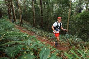 BIB: 
                            <button type="button" onclick="openModal(22584049)" class="btn btn-primary btn-sm float-right btn-popup" data-toggle="modal" data-target=".modal-high-quality">
                        <i class="fas fa-shopping-cart"></i> Add to Cart
                    </button>
                                            <button type="button" onclick="isThisMe(22584049, true)" class="btn btn-success btn-sm float-right btn-popup btn-isme hidden" data-toggle="tooltip" data-placement="bottom" title="นี่คือรูปของคุณใช่ไหม คลิกที่นี่เพื่อเอาเข้าอัลบั้ม">
                        <i class="fas fa-plus"></i> Add to album
                    </button>
                    <button type="button" onclick="isThisMe(22584049, false)" class="btn btn-warning btn-sm float-right btn-popup btn-isnotme hidden">
                        <i class="fas fa-ban"></i> Remove from album
                    </button>