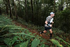 BIB: 
                            <button type="button" onclick="openModal(22533142)" class="btn btn-primary btn-sm float-right btn-popup" data-toggle="modal" data-target=".modal-high-quality">
                        <i class="fas fa-shopping-cart"></i> Add to Cart
                    </button>
                                            <button type="button" onclick="isThisMe(22533142, true)" class="btn btn-success btn-sm float-right btn-popup btn-isme hidden" data-toggle="tooltip" data-placement="bottom" title="นี่คือรูปของคุณใช่ไหม คลิกที่นี่เพื่อเอาเข้าอัลบั้ม">
                        <i class="fas fa-plus"></i> Add to album
                    </button>
                    <button type="button" onclick="isThisMe(22533142, false)" class="btn btn-warning btn-sm float-right btn-popup btn-isnotme hidden">
                        <i class="fas fa-ban"></i> Remove from album
                    </button>