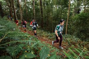 BIB: 
                            <button type="button" onclick="openModal(22569569)" class="btn btn-primary btn-sm float-right btn-popup" data-toggle="modal" data-target=".modal-high-quality">
                        <i class="fas fa-shopping-cart"></i> Add to Cart
                    </button>
                                            <button type="button" onclick="isThisMe(22569569, true)" class="btn btn-success btn-sm float-right btn-popup btn-isme hidden" data-toggle="tooltip" data-placement="bottom" title="นี่คือรูปของคุณใช่ไหม คลิกที่นี่เพื่อเอาเข้าอัลบั้ม">
                        <i class="fas fa-plus"></i> Add to album
                    </button>
                    <button type="button" onclick="isThisMe(22569569, false)" class="btn btn-warning btn-sm float-right btn-popup btn-isnotme hidden">
                        <i class="fas fa-ban"></i> Remove from album
                    </button>