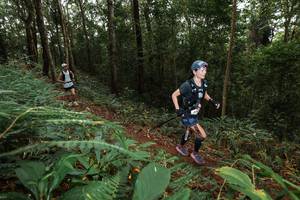 BIB: 
                            <button type="button" onclick="openModal(22537332)" class="btn btn-primary btn-sm float-right btn-popup" data-toggle="modal" data-target=".modal-high-quality">
                        <i class="fas fa-shopping-cart"></i> Add to Cart
                    </button>
                                            <button type="button" onclick="isThisMe(22537332, true)" class="btn btn-success btn-sm float-right btn-popup btn-isme hidden" data-toggle="tooltip" data-placement="bottom" title="นี่คือรูปของคุณใช่ไหม คลิกที่นี่เพื่อเอาเข้าอัลบั้ม">
                        <i class="fas fa-plus"></i> Add to album
                    </button>
                    <button type="button" onclick="isThisMe(22537332, false)" class="btn btn-warning btn-sm float-right btn-popup btn-isnotme hidden">
                        <i class="fas fa-ban"></i> Remove from album
                    </button>