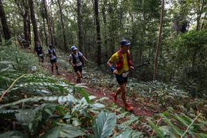 BIB: 
                            <button type="button" onclick="openModal(22564459)" class="btn btn-primary btn-sm float-right btn-popup" data-toggle="modal" data-target=".modal-high-quality">
                        <i class="fas fa-shopping-cart"></i> Add to Cart
                    </button>
                                            <button type="button" onclick="isThisMe(22564459, true)" class="btn btn-success btn-sm float-right btn-popup btn-isme hidden" data-toggle="tooltip" data-placement="bottom" title="นี่คือรูปของคุณใช่ไหม คลิกที่นี่เพื่อเอาเข้าอัลบั้ม">
                        <i class="fas fa-plus"></i> Add to album
                    </button>
                    <button type="button" onclick="isThisMe(22564459, false)" class="btn btn-warning btn-sm float-right btn-popup btn-isnotme hidden">
                        <i class="fas fa-ban"></i> Remove from album
                    </button>