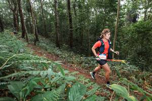 BIB: 3422
                            <button type="button" onclick="openModal(22542856)" class="btn btn-primary btn-sm float-right btn-popup" data-toggle="modal" data-target=".modal-high-quality">
                        <i class="fas fa-shopping-cart"></i> Add to Cart
                    </button>
                                            <button type="button" onclick="isThisMe(22542856, true)" class="btn btn-success btn-sm float-right btn-popup btn-isme hidden" data-toggle="tooltip" data-placement="bottom" title="นี่คือรูปของคุณใช่ไหม คลิกที่นี่เพื่อเอาเข้าอัลบั้ม">
                        <i class="fas fa-plus"></i> Add to album
                    </button>
                    <button type="button" onclick="isThisMe(22542856, false)" class="btn btn-warning btn-sm float-right btn-popup btn-isnotme hidden">
                        <i class="fas fa-ban"></i> Remove from album
                    </button>