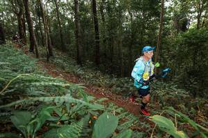 BIB: 
                            <button type="button" onclick="openModal(22536983)" class="btn btn-primary btn-sm float-right btn-popup" data-toggle="modal" data-target=".modal-high-quality">
                        <i class="fas fa-shopping-cart"></i> Add to Cart
                    </button>
                                            <button type="button" onclick="isThisMe(22536983, true)" class="btn btn-success btn-sm float-right btn-popup btn-isme hidden" data-toggle="tooltip" data-placement="bottom" title="นี่คือรูปของคุณใช่ไหม คลิกที่นี่เพื่อเอาเข้าอัลบั้ม">
                        <i class="fas fa-plus"></i> Add to album
                    </button>
                    <button type="button" onclick="isThisMe(22536983, false)" class="btn btn-warning btn-sm float-right btn-popup btn-isnotme hidden">
                        <i class="fas fa-ban"></i> Remove from album
                    </button>