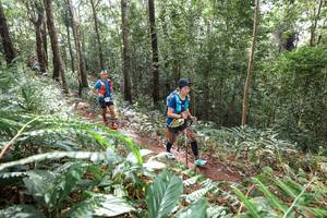 BIB: 
                            <button type="button" onclick="openModal(22564134)" class="btn btn-primary btn-sm float-right btn-popup" data-toggle="modal" data-target=".modal-high-quality">
                        <i class="fas fa-shopping-cart"></i> Add to Cart
                    </button>
                                            <button type="button" onclick="isThisMe(22564134, true)" class="btn btn-success btn-sm float-right btn-popup btn-isme hidden" data-toggle="tooltip" data-placement="bottom" title="นี่คือรูปของคุณใช่ไหม คลิกที่นี่เพื่อเอาเข้าอัลบั้ม">
                        <i class="fas fa-plus"></i> Add to album
                    </button>
                    <button type="button" onclick="isThisMe(22564134, false)" class="btn btn-warning btn-sm float-right btn-popup btn-isnotme hidden">
                        <i class="fas fa-ban"></i> Remove from album
                    </button>