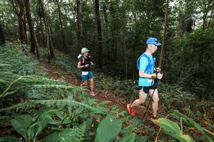 BIB: 
                            <button type="button" onclick="openModal(22538791)" class="btn btn-primary btn-sm float-right btn-popup" data-toggle="modal" data-target=".modal-high-quality">
                        <i class="fas fa-shopping-cart"></i> Add to Cart
                    </button>
                                            <button type="button" onclick="isThisMe(22538791, true)" class="btn btn-success btn-sm float-right btn-popup btn-isme hidden" data-toggle="tooltip" data-placement="bottom" title="นี่คือรูปของคุณใช่ไหม คลิกที่นี่เพื่อเอาเข้าอัลบั้ม">
                        <i class="fas fa-plus"></i> Add to album
                    </button>
                    <button type="button" onclick="isThisMe(22538791, false)" class="btn btn-warning btn-sm float-right btn-popup btn-isnotme hidden">
                        <i class="fas fa-ban"></i> Remove from album
                    </button>