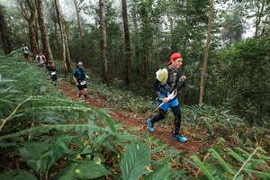 BIB: 
                            <button type="button" onclick="openModal(22572034)" class="btn btn-primary btn-sm float-right btn-popup" data-toggle="modal" data-target=".modal-high-quality">
                        <i class="fas fa-shopping-cart"></i> Add to Cart
                    </button>
                                            <button type="button" onclick="isThisMe(22572034, true)" class="btn btn-success btn-sm float-right btn-popup btn-isme hidden" data-toggle="tooltip" data-placement="bottom" title="นี่คือรูปของคุณใช่ไหม คลิกที่นี่เพื่อเอาเข้าอัลบั้ม">
                        <i class="fas fa-plus"></i> Add to album
                    </button>
                    <button type="button" onclick="isThisMe(22572034, false)" class="btn btn-warning btn-sm float-right btn-popup btn-isnotme hidden">
                        <i class="fas fa-ban"></i> Remove from album
                    </button>