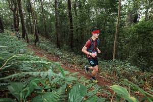 BIB: 
                            <button type="button" onclick="openModal(22542875)" class="btn btn-primary btn-sm float-right btn-popup" data-toggle="modal" data-target=".modal-high-quality">
                        <i class="fas fa-shopping-cart"></i> Add to Cart
                    </button>
                                            <button type="button" onclick="isThisMe(22542875, true)" class="btn btn-success btn-sm float-right btn-popup btn-isme hidden" data-toggle="tooltip" data-placement="bottom" title="นี่คือรูปของคุณใช่ไหม คลิกที่นี่เพื่อเอาเข้าอัลบั้ม">
                        <i class="fas fa-plus"></i> Add to album
                    </button>
                    <button type="button" onclick="isThisMe(22542875, false)" class="btn btn-warning btn-sm float-right btn-popup btn-isnotme hidden">
                        <i class="fas fa-ban"></i> Remove from album
                    </button>