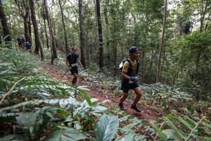 BIB: 
                            <button type="button" onclick="openModal(22564879)" class="btn btn-primary btn-sm float-right btn-popup" data-toggle="modal" data-target=".modal-high-quality">
                        <i class="fas fa-shopping-cart"></i> Add to Cart
                    </button>
                                            <button type="button" onclick="isThisMe(22564879, true)" class="btn btn-success btn-sm float-right btn-popup btn-isme hidden" data-toggle="tooltip" data-placement="bottom" title="นี่คือรูปของคุณใช่ไหม คลิกที่นี่เพื่อเอาเข้าอัลบั้ม">
                        <i class="fas fa-plus"></i> Add to album
                    </button>
                    <button type="button" onclick="isThisMe(22564879, false)" class="btn btn-warning btn-sm float-right btn-popup btn-isnotme hidden">
                        <i class="fas fa-ban"></i> Remove from album
                    </button>