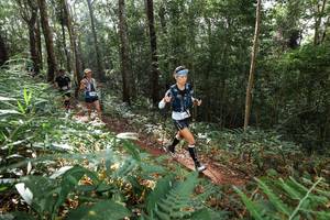 BIB: 
                            <button type="button" onclick="openModal(22545402)" class="btn btn-primary btn-sm float-right btn-popup" data-toggle="modal" data-target=".modal-high-quality">
                        <i class="fas fa-shopping-cart"></i> Add to Cart
                    </button>
                                            <button type="button" onclick="isThisMe(22545402, true)" class="btn btn-success btn-sm float-right btn-popup btn-isme hidden" data-toggle="tooltip" data-placement="bottom" title="นี่คือรูปของคุณใช่ไหม คลิกที่นี่เพื่อเอาเข้าอัลบั้ม">
                        <i class="fas fa-plus"></i> Add to album
                    </button>
                    <button type="button" onclick="isThisMe(22545402, false)" class="btn btn-warning btn-sm float-right btn-popup btn-isnotme hidden">
                        <i class="fas fa-ban"></i> Remove from album
                    </button>