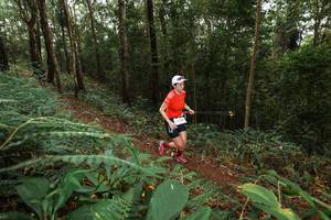 BIB: 
                            <button type="button" onclick="openModal(22534325)" class="btn btn-primary btn-sm float-right btn-popup" data-toggle="modal" data-target=".modal-high-quality">
                        <i class="fas fa-shopping-cart"></i> Add to Cart
                    </button>
                                            <button type="button" onclick="isThisMe(22534325, true)" class="btn btn-success btn-sm float-right btn-popup btn-isme hidden" data-toggle="tooltip" data-placement="bottom" title="นี่คือรูปของคุณใช่ไหม คลิกที่นี่เพื่อเอาเข้าอัลบั้ม">
                        <i class="fas fa-plus"></i> Add to album
                    </button>
                    <button type="button" onclick="isThisMe(22534325, false)" class="btn btn-warning btn-sm float-right btn-popup btn-isnotme hidden">
                        <i class="fas fa-ban"></i> Remove from album
                    </button>