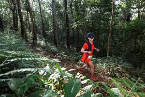 BIB: 
                            <button type="button" onclick="openModal(22543865)" class="btn btn-primary btn-sm float-right btn-popup" data-toggle="modal" data-target=".modal-high-quality">
                        <i class="fas fa-shopping-cart"></i> Add to Cart
                    </button>
                                            <button type="button" onclick="isThisMe(22543865, true)" class="btn btn-success btn-sm float-right btn-popup btn-isme hidden" data-toggle="tooltip" data-placement="bottom" title="นี่คือรูปของคุณใช่ไหม คลิกที่นี่เพื่อเอาเข้าอัลบั้ม">
                        <i class="fas fa-plus"></i> Add to album
                    </button>
                    <button type="button" onclick="isThisMe(22543865, false)" class="btn btn-warning btn-sm float-right btn-popup btn-isnotme hidden">
                        <i class="fas fa-ban"></i> Remove from album
                    </button>