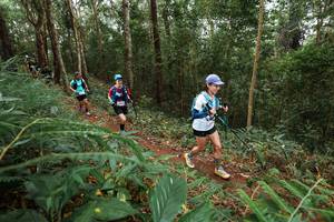 BIB: 
                            <button type="button" onclick="openModal(22570887)" class="btn btn-primary btn-sm float-right btn-popup" data-toggle="modal" data-target=".modal-high-quality">
                        <i class="fas fa-shopping-cart"></i> Add to Cart
                    </button>
                                            <button type="button" onclick="isThisMe(22570887, true)" class="btn btn-success btn-sm float-right btn-popup btn-isme hidden" data-toggle="tooltip" data-placement="bottom" title="นี่คือรูปของคุณใช่ไหม คลิกที่นี่เพื่อเอาเข้าอัลบั้ม">
                        <i class="fas fa-plus"></i> Add to album
                    </button>
                    <button type="button" onclick="isThisMe(22570887, false)" class="btn btn-warning btn-sm float-right btn-popup btn-isnotme hidden">
                        <i class="fas fa-ban"></i> Remove from album
                    </button>