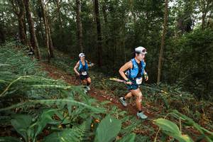 BIB: 
                            <button type="button" onclick="openModal(22534463)" class="btn btn-primary btn-sm float-right btn-popup" data-toggle="modal" data-target=".modal-high-quality">
                        <i class="fas fa-shopping-cart"></i> Add to Cart
                    </button>
                                            <button type="button" onclick="isThisMe(22534463, true)" class="btn btn-success btn-sm float-right btn-popup btn-isme hidden" data-toggle="tooltip" data-placement="bottom" title="นี่คือรูปของคุณใช่ไหม คลิกที่นี่เพื่อเอาเข้าอัลบั้ม">
                        <i class="fas fa-plus"></i> Add to album
                    </button>
                    <button type="button" onclick="isThisMe(22534463, false)" class="btn btn-warning btn-sm float-right btn-popup btn-isnotme hidden">
                        <i class="fas fa-ban"></i> Remove from album
                    </button>