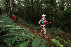 BIB: 
                            <button type="button" onclick="openModal(22533531)" class="btn btn-primary btn-sm float-right btn-popup" data-toggle="modal" data-target=".modal-high-quality">
                        <i class="fas fa-shopping-cart"></i> Add to Cart
                    </button>
                                            <button type="button" onclick="isThisMe(22533531, true)" class="btn btn-success btn-sm float-right btn-popup btn-isme hidden" data-toggle="tooltip" data-placement="bottom" title="นี่คือรูปของคุณใช่ไหม คลิกที่นี่เพื่อเอาเข้าอัลบั้ม">
                        <i class="fas fa-plus"></i> Add to album
                    </button>
                    <button type="button" onclick="isThisMe(22533531, false)" class="btn btn-warning btn-sm float-right btn-popup btn-isnotme hidden">
                        <i class="fas fa-ban"></i> Remove from album
                    </button>