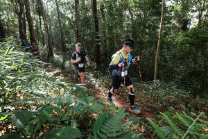 BIB: 
                            <button type="button" onclick="openModal(22546174)" class="btn btn-primary btn-sm float-right btn-popup" data-toggle="modal" data-target=".modal-high-quality">
                        <i class="fas fa-shopping-cart"></i> Add to Cart
                    </button>
                                            <button type="button" onclick="isThisMe(22546174, true)" class="btn btn-success btn-sm float-right btn-popup btn-isme hidden" data-toggle="tooltip" data-placement="bottom" title="นี่คือรูปของคุณใช่ไหม คลิกที่นี่เพื่อเอาเข้าอัลบั้ม">
                        <i class="fas fa-plus"></i> Add to album
                    </button>
                    <button type="button" onclick="isThisMe(22546174, false)" class="btn btn-warning btn-sm float-right btn-popup btn-isnotme hidden">
                        <i class="fas fa-ban"></i> Remove from album
                    </button>