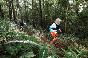 BIB: 
                            <button type="button" onclick="openModal(22547216)" class="btn btn-primary btn-sm float-right btn-popup" data-toggle="modal" data-target=".modal-high-quality">
                        <i class="fas fa-shopping-cart"></i> Add to Cart
                    </button>
                                            <button type="button" onclick="isThisMe(22547216, true)" class="btn btn-success btn-sm float-right btn-popup btn-isme hidden" data-toggle="tooltip" data-placement="bottom" title="นี่คือรูปของคุณใช่ไหม คลิกที่นี่เพื่อเอาเข้าอัลบั้ม">
                        <i class="fas fa-plus"></i> Add to album
                    </button>
                    <button type="button" onclick="isThisMe(22547216, false)" class="btn btn-warning btn-sm float-right btn-popup btn-isnotme hidden">
                        <i class="fas fa-ban"></i> Remove from album
                    </button>