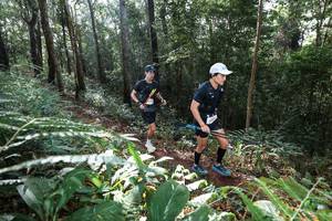 BIB: 
                            <button type="button" onclick="openModal(22543825)" class="btn btn-primary btn-sm float-right btn-popup" data-toggle="modal" data-target=".modal-high-quality">
                        <i class="fas fa-shopping-cart"></i> Add to Cart
                    </button>
                                            <button type="button" onclick="isThisMe(22543825, true)" class="btn btn-success btn-sm float-right btn-popup btn-isme hidden" data-toggle="tooltip" data-placement="bottom" title="นี่คือรูปของคุณใช่ไหม คลิกที่นี่เพื่อเอาเข้าอัลบั้ม">
                        <i class="fas fa-plus"></i> Add to album
                    </button>
                    <button type="button" onclick="isThisMe(22543825, false)" class="btn btn-warning btn-sm float-right btn-popup btn-isnotme hidden">
                        <i class="fas fa-ban"></i> Remove from album
                    </button>