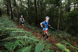 BIB: 
                            <button type="button" onclick="openModal(22537441)" class="btn btn-primary btn-sm float-right btn-popup" data-toggle="modal" data-target=".modal-high-quality">
                        <i class="fas fa-shopping-cart"></i> Add to Cart
                    </button>
                                            <button type="button" onclick="isThisMe(22537441, true)" class="btn btn-success btn-sm float-right btn-popup btn-isme hidden" data-toggle="tooltip" data-placement="bottom" title="นี่คือรูปของคุณใช่ไหม คลิกที่นี่เพื่อเอาเข้าอัลบั้ม">
                        <i class="fas fa-plus"></i> Add to album
                    </button>
                    <button type="button" onclick="isThisMe(22537441, false)" class="btn btn-warning btn-sm float-right btn-popup btn-isnotme hidden">
                        <i class="fas fa-ban"></i> Remove from album
                    </button>