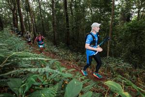 BIB: 
                            <button type="button" onclick="openModal(22537170)" class="btn btn-primary btn-sm float-right btn-popup" data-toggle="modal" data-target=".modal-high-quality">
                        <i class="fas fa-shopping-cart"></i> Add to Cart
                    </button>
                                            <button type="button" onclick="isThisMe(22537170, true)" class="btn btn-success btn-sm float-right btn-popup btn-isme hidden" data-toggle="tooltip" data-placement="bottom" title="นี่คือรูปของคุณใช่ไหม คลิกที่นี่เพื่อเอาเข้าอัลบั้ม">
                        <i class="fas fa-plus"></i> Add to album
                    </button>
                    <button type="button" onclick="isThisMe(22537170, false)" class="btn btn-warning btn-sm float-right btn-popup btn-isnotme hidden">
                        <i class="fas fa-ban"></i> Remove from album
                    </button>