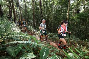 BIB: 
                            <button type="button" onclick="openModal(22547436)" class="btn btn-primary btn-sm float-right btn-popup" data-toggle="modal" data-target=".modal-high-quality">
                        <i class="fas fa-shopping-cart"></i> Add to Cart
                    </button>
                                            <button type="button" onclick="isThisMe(22547436, true)" class="btn btn-success btn-sm float-right btn-popup btn-isme hidden" data-toggle="tooltip" data-placement="bottom" title="นี่คือรูปของคุณใช่ไหม คลิกที่นี่เพื่อเอาเข้าอัลบั้ม">
                        <i class="fas fa-plus"></i> Add to album
                    </button>
                    <button type="button" onclick="isThisMe(22547436, false)" class="btn btn-warning btn-sm float-right btn-popup btn-isnotme hidden">
                        <i class="fas fa-ban"></i> Remove from album
                    </button>