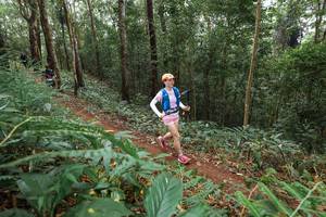 BIB: 
                            <button type="button" onclick="openModal(22584288)" class="btn btn-primary btn-sm float-right btn-popup" data-toggle="modal" data-target=".modal-high-quality">
                        <i class="fas fa-shopping-cart"></i> Add to Cart
                    </button>
                                            <button type="button" onclick="isThisMe(22584288, true)" class="btn btn-success btn-sm float-right btn-popup btn-isme hidden" data-toggle="tooltip" data-placement="bottom" title="นี่คือรูปของคุณใช่ไหม คลิกที่นี่เพื่อเอาเข้าอัลบั้ม">
                        <i class="fas fa-plus"></i> Add to album
                    </button>
                    <button type="button" onclick="isThisMe(22584288, false)" class="btn btn-warning btn-sm float-right btn-popup btn-isnotme hidden">
                        <i class="fas fa-ban"></i> Remove from album
                    </button>