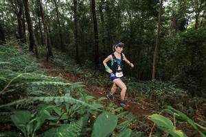 BIB: 
                            <button type="button" onclick="openModal(22536433)" class="btn btn-primary btn-sm float-right btn-popup" data-toggle="modal" data-target=".modal-high-quality">
                        <i class="fas fa-shopping-cart"></i> Add to Cart
                    </button>
                                            <button type="button" onclick="isThisMe(22536433, true)" class="btn btn-success btn-sm float-right btn-popup btn-isme hidden" data-toggle="tooltip" data-placement="bottom" title="นี่คือรูปของคุณใช่ไหม คลิกที่นี่เพื่อเอาเข้าอัลบั้ม">
                        <i class="fas fa-plus"></i> Add to album
                    </button>
                    <button type="button" onclick="isThisMe(22536433, false)" class="btn btn-warning btn-sm float-right btn-popup btn-isnotme hidden">
                        <i class="fas fa-ban"></i> Remove from album
                    </button>