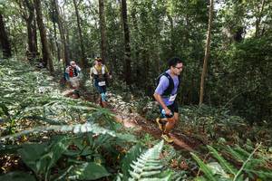 BIB: 
                            <button type="button" onclick="openModal(22546896)" class="btn btn-primary btn-sm float-right btn-popup" data-toggle="modal" data-target=".modal-high-quality">
                        <i class="fas fa-shopping-cart"></i> Add to Cart
                    </button>
                                            <button type="button" onclick="isThisMe(22546896, true)" class="btn btn-success btn-sm float-right btn-popup btn-isme hidden" data-toggle="tooltip" data-placement="bottom" title="นี่คือรูปของคุณใช่ไหม คลิกที่นี่เพื่อเอาเข้าอัลบั้ม">
                        <i class="fas fa-plus"></i> Add to album
                    </button>
                    <button type="button" onclick="isThisMe(22546896, false)" class="btn btn-warning btn-sm float-right btn-popup btn-isnotme hidden">
                        <i class="fas fa-ban"></i> Remove from album
                    </button>