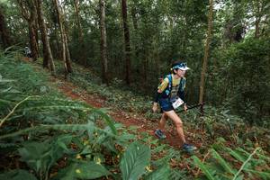 BIB: 
                            <button type="button" onclick="openModal(22582969)" class="btn btn-primary btn-sm float-right btn-popup" data-toggle="modal" data-target=".modal-high-quality">
                        <i class="fas fa-shopping-cart"></i> Add to Cart
                    </button>
                                            <button type="button" onclick="isThisMe(22582969, true)" class="btn btn-success btn-sm float-right btn-popup btn-isme hidden" data-toggle="tooltip" data-placement="bottom" title="นี่คือรูปของคุณใช่ไหม คลิกที่นี่เพื่อเอาเข้าอัลบั้ม">
                        <i class="fas fa-plus"></i> Add to album
                    </button>
                    <button type="button" onclick="isThisMe(22582969, false)" class="btn btn-warning btn-sm float-right btn-popup btn-isnotme hidden">
                        <i class="fas fa-ban"></i> Remove from album
                    </button>