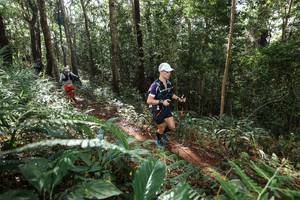 BIB: 
                            <button type="button" onclick="openModal(22547209)" class="btn btn-primary btn-sm float-right btn-popup" data-toggle="modal" data-target=".modal-high-quality">
                        <i class="fas fa-shopping-cart"></i> Add to Cart
                    </button>
                                            <button type="button" onclick="isThisMe(22547209, true)" class="btn btn-success btn-sm float-right btn-popup btn-isme hidden" data-toggle="tooltip" data-placement="bottom" title="นี่คือรูปของคุณใช่ไหม คลิกที่นี่เพื่อเอาเข้าอัลบั้ม">
                        <i class="fas fa-plus"></i> Add to album
                    </button>
                    <button type="button" onclick="isThisMe(22547209, false)" class="btn btn-warning btn-sm float-right btn-popup btn-isnotme hidden">
                        <i class="fas fa-ban"></i> Remove from album
                    </button>