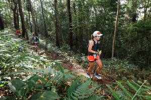 BIB: 
                            <button type="button" onclick="openModal(22545891)" class="btn btn-primary btn-sm float-right btn-popup" data-toggle="modal" data-target=".modal-high-quality">
                        <i class="fas fa-shopping-cart"></i> Add to Cart
                    </button>
                                            <button type="button" onclick="isThisMe(22545891, true)" class="btn btn-success btn-sm float-right btn-popup btn-isme hidden" data-toggle="tooltip" data-placement="bottom" title="นี่คือรูปของคุณใช่ไหม คลิกที่นี่เพื่อเอาเข้าอัลบั้ม">
                        <i class="fas fa-plus"></i> Add to album
                    </button>
                    <button type="button" onclick="isThisMe(22545891, false)" class="btn btn-warning btn-sm float-right btn-popup btn-isnotme hidden">
                        <i class="fas fa-ban"></i> Remove from album
                    </button>