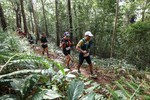 BIB: 
                            <button type="button" onclick="openModal(22564142)" class="btn btn-primary btn-sm float-right btn-popup" data-toggle="modal" data-target=".modal-high-quality">
                        <i class="fas fa-shopping-cart"></i> Add to Cart
                    </button>
                                            <button type="button" onclick="isThisMe(22564142, true)" class="btn btn-success btn-sm float-right btn-popup btn-isme hidden" data-toggle="tooltip" data-placement="bottom" title="นี่คือรูปของคุณใช่ไหม คลิกที่นี่เพื่อเอาเข้าอัลบั้ม">
                        <i class="fas fa-plus"></i> Add to album
                    </button>
                    <button type="button" onclick="isThisMe(22564142, false)" class="btn btn-warning btn-sm float-right btn-popup btn-isnotme hidden">
                        <i class="fas fa-ban"></i> Remove from album
                    </button>