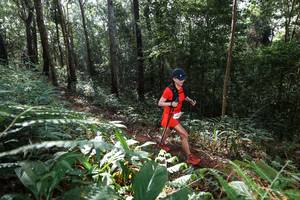 BIB: 
                            <button type="button" onclick="openModal(22543869)" class="btn btn-primary btn-sm float-right btn-popup" data-toggle="modal" data-target=".modal-high-quality">
                        <i class="fas fa-shopping-cart"></i> Add to Cart
                    </button>
                                            <button type="button" onclick="isThisMe(22543869, true)" class="btn btn-success btn-sm float-right btn-popup btn-isme hidden" data-toggle="tooltip" data-placement="bottom" title="นี่คือรูปของคุณใช่ไหม คลิกที่นี่เพื่อเอาเข้าอัลบั้ม">
                        <i class="fas fa-plus"></i> Add to album
                    </button>
                    <button type="button" onclick="isThisMe(22543869, false)" class="btn btn-warning btn-sm float-right btn-popup btn-isnotme hidden">
                        <i class="fas fa-ban"></i> Remove from album
                    </button>