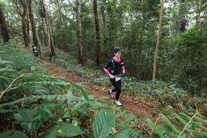 BIB: 
                            <button type="button" onclick="openModal(22579941)" class="btn btn-primary btn-sm float-right btn-popup" data-toggle="modal" data-target=".modal-high-quality">
                        <i class="fas fa-shopping-cart"></i> Add to Cart
                    </button>
                                            <button type="button" onclick="isThisMe(22579941, true)" class="btn btn-success btn-sm float-right btn-popup btn-isme hidden" data-toggle="tooltip" data-placement="bottom" title="นี่คือรูปของคุณใช่ไหม คลิกที่นี่เพื่อเอาเข้าอัลบั้ม">
                        <i class="fas fa-plus"></i> Add to album
                    </button>
                    <button type="button" onclick="isThisMe(22579941, false)" class="btn btn-warning btn-sm float-right btn-popup btn-isnotme hidden">
                        <i class="fas fa-ban"></i> Remove from album
                    </button>