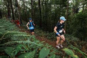 BIB: 
                            <button type="button" onclick="openModal(22536261)" class="btn btn-primary btn-sm float-right btn-popup" data-toggle="modal" data-target=".modal-high-quality">
                        <i class="fas fa-shopping-cart"></i> Add to Cart
                    </button>
                                            <button type="button" onclick="isThisMe(22536261, true)" class="btn btn-success btn-sm float-right btn-popup btn-isme hidden" data-toggle="tooltip" data-placement="bottom" title="นี่คือรูปของคุณใช่ไหม คลิกที่นี่เพื่อเอาเข้าอัลบั้ม">
                        <i class="fas fa-plus"></i> Add to album
                    </button>
                    <button type="button" onclick="isThisMe(22536261, false)" class="btn btn-warning btn-sm float-right btn-popup btn-isnotme hidden">
                        <i class="fas fa-ban"></i> Remove from album
                    </button>